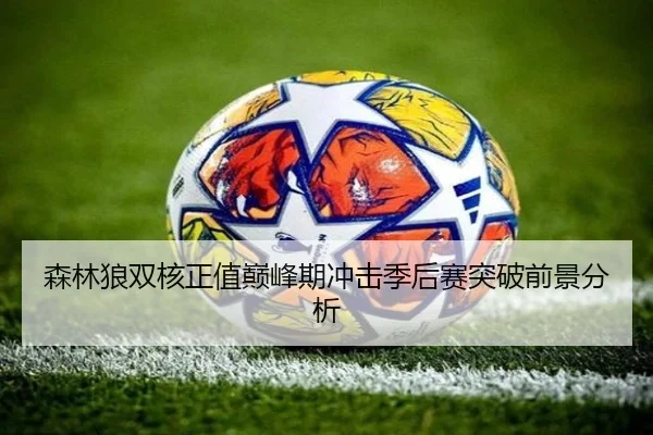 森林狼双核正值巅峰期冲击季后赛突破前景分析（Xingkong）